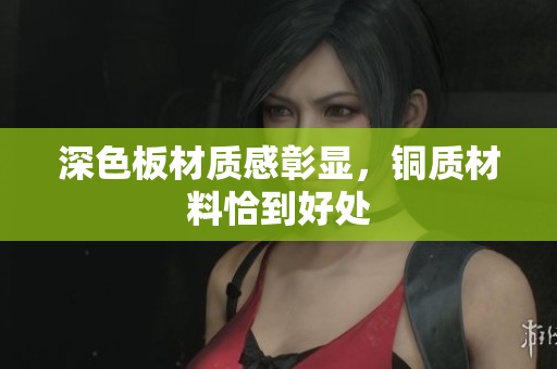 深色板材质感彰显，铜质材料恰到好处