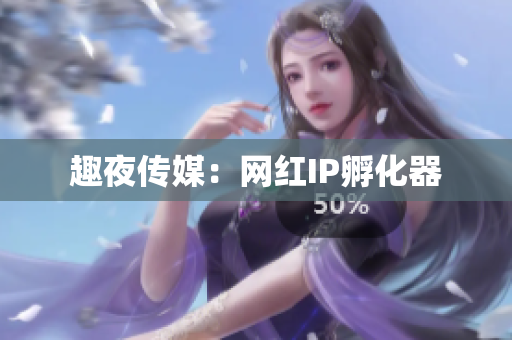 趣夜传媒：网红IP孵化器