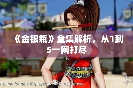 《金银瓶》全集解析，从1到5一网打尽