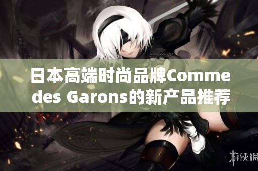 日本高端时尚品牌Comme des Garons的新产品推荐