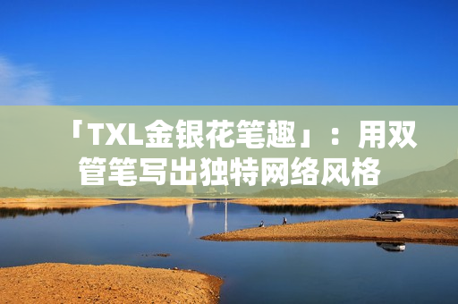 「TXL金银花笔趣」：用双管笔写出独特网络风格