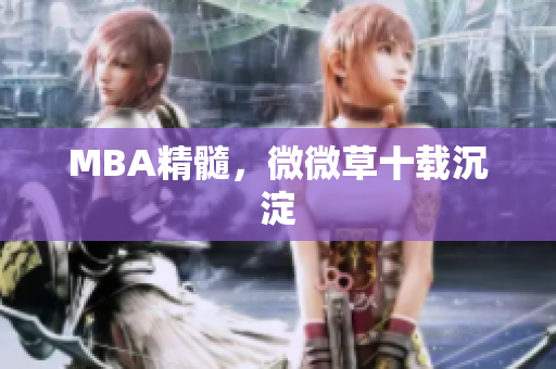 MBA精髓，微微草十载沉淀