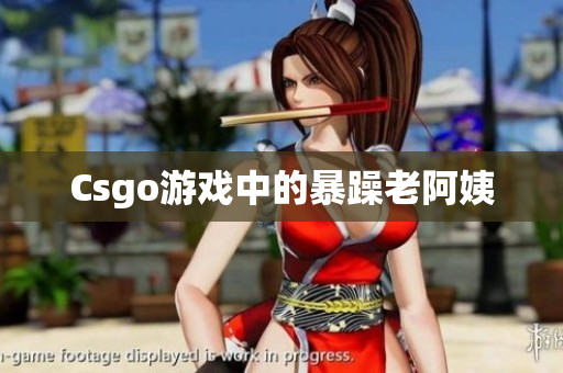 Csgo游戏中的暴躁老阿姨