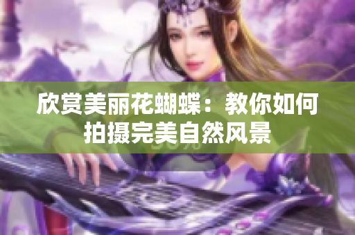欣赏美丽花蝴蝶：教你如何拍摄完美自然风景