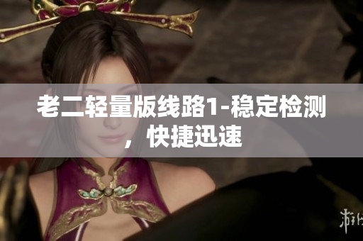 老二轻量版线路1-稳定检测，快捷迅速