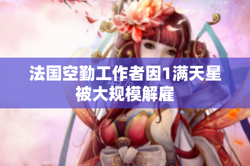法国空勤工作者因1满天星被大规模解雇
