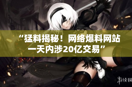 “猛料揭秘！网络爆料网站一天内涉20亿交易”
