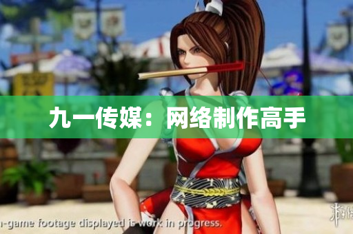 九一传媒：网络制作高手