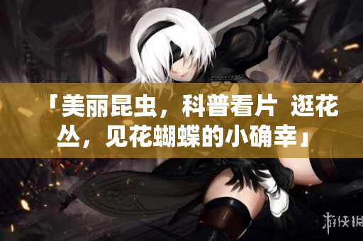 「美丽昆虫，科普看片  逛花丛，见花蝴蝶的小确幸」