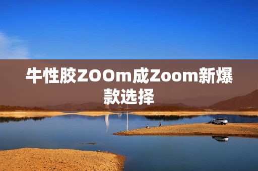 牛性胶ZOOm成Zoom新爆款选择