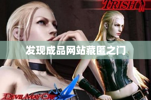 发现成品网站藏匿之门