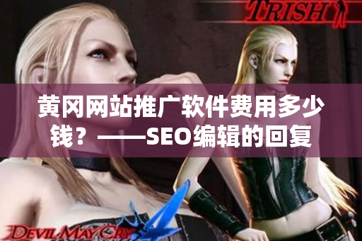 黄冈网站推广软件费用多少钱？——SEO编辑的回复