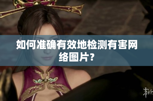 如何准确有效地检测有害网络图片？