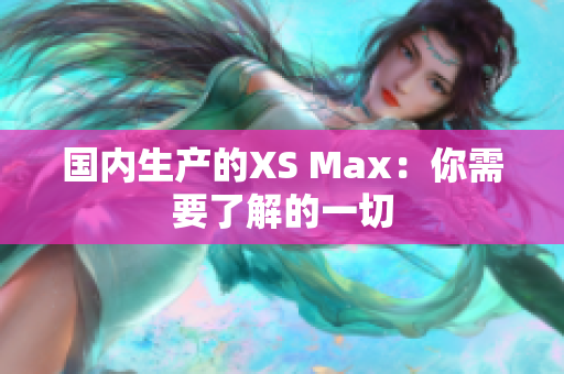 国内生产的XS Max：你需要了解的一切