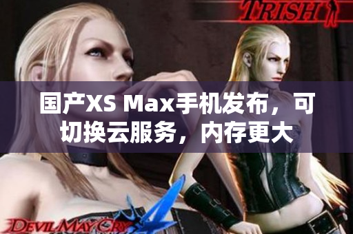 国产XS Max手机发布，可切换云服务，内存更大