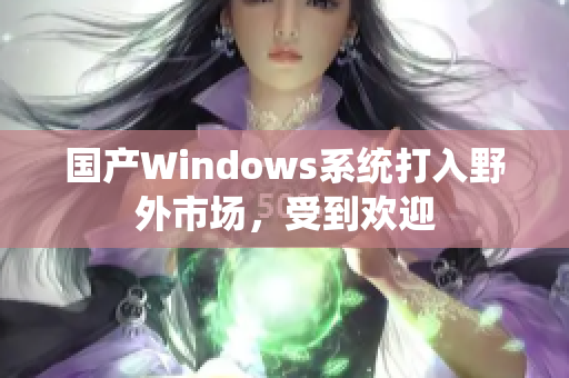 国产Windows系统打入野外市场，受到欢迎