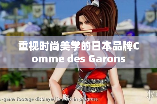 重视时尚美学的日本品牌Comme des Garons