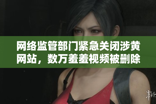 网络监管部门紧急关闭涉黄网站，数万羞羞视频被删除