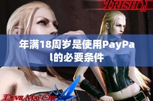年满18周岁是使用PayPal的必要条件