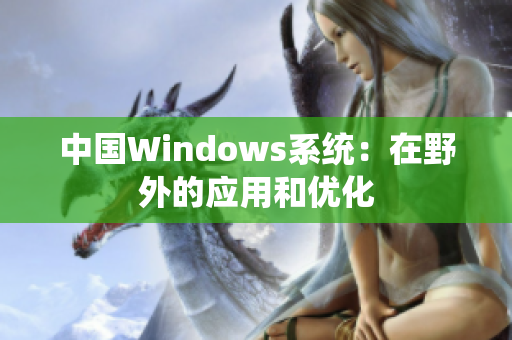 中国Windows系统：在野外的应用和优化