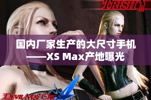 国内厂家生产的大尺寸手机——XS Max产地曝光
