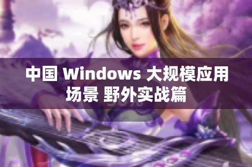 中国 Windows 大规模应用场景 野外实战篇