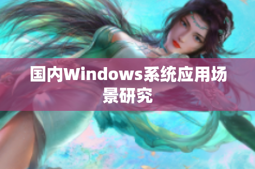 国内Windows系统应用场景研究