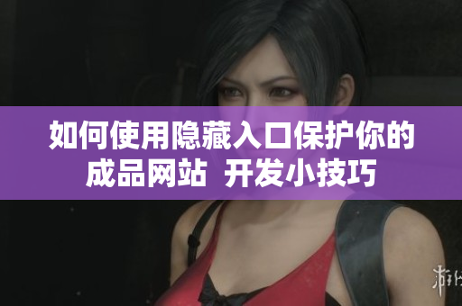 如何使用隐藏入口保护你的成品网站  开发小技巧