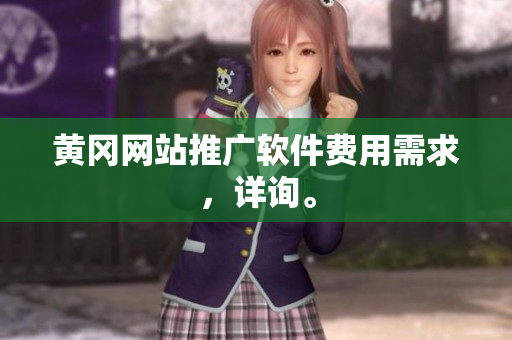 黄冈网站推广软件费用需求，详询。