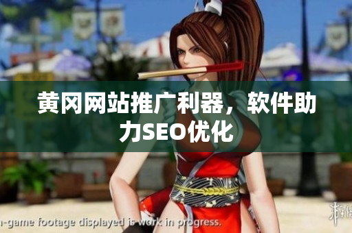 黄冈网站推广利器，软件助力SEO优化