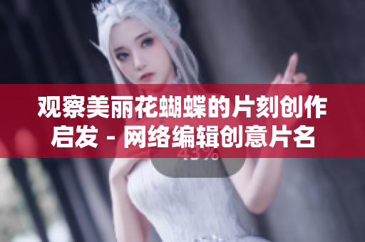 观察美丽花蝴蝶的片刻创作启发 - 网络编辑创意片名