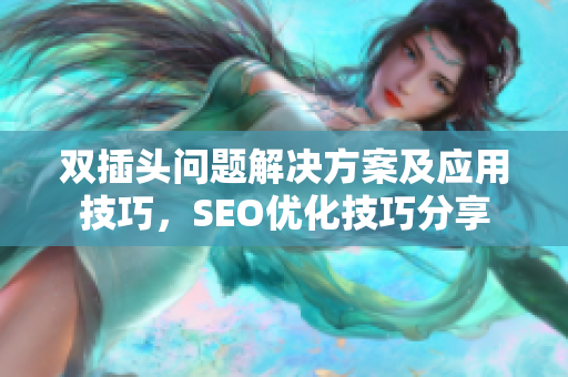 双插头问题解决方案及应用技巧，SEO优化技巧分享