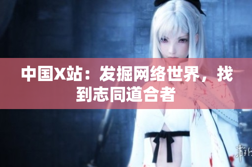 中国X站：发掘网络世界，找到志同道合者